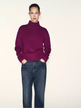 Zara High Neck Knit sweater
